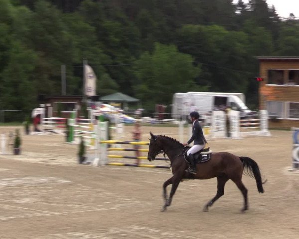 Reitturnier Bad Liebenstein/Sorga 2023