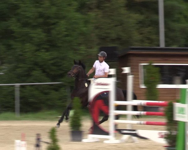 Reitturnier Bad Liebenstein/Sorga 2023
