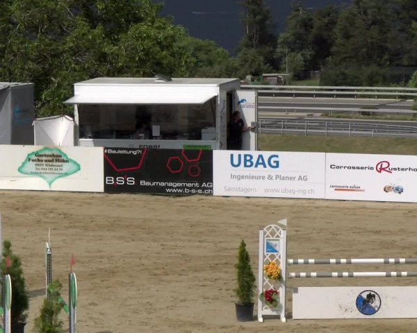 Reitturnier Wädenswil 2023