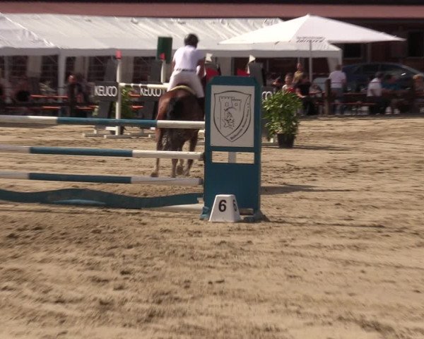 Reitturnier Hemer 2023