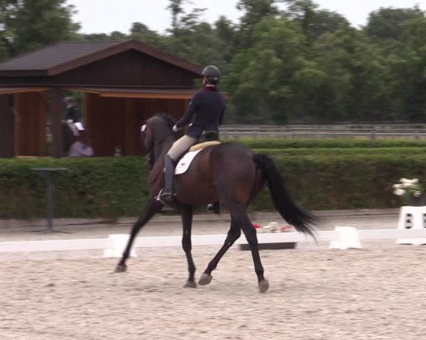 Reitturnier Neustadt/Dosse 2023