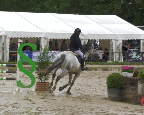 Reitturnier Heiligenwald 2023
