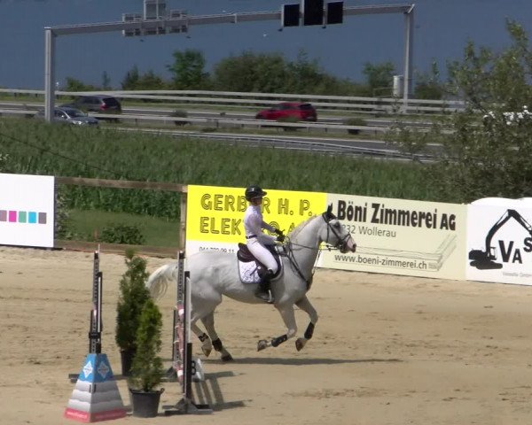 Reitturnier Wädenswil 2023