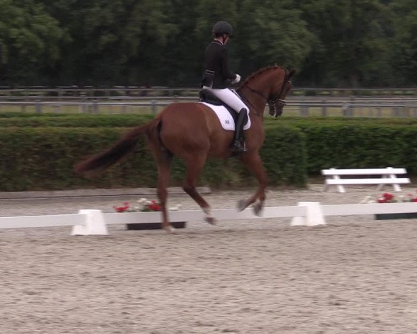 Reitturnier Neustadt/Dosse 2023