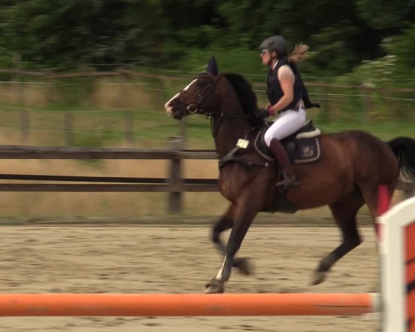 Reitturnier Hemer 2023