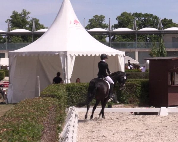 Reitturnier Neustadt/Dosse 2023