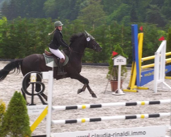 Reitturnier Margarethenhof /Beckingen 2023