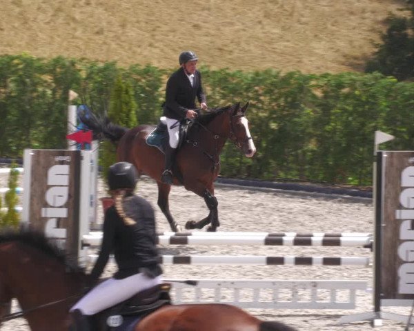 Reitturnier Margarethenhof /Beckingen 2023