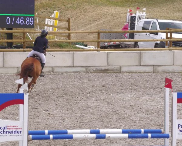 Reitturnier Margarethenhof /Beckingen 2023