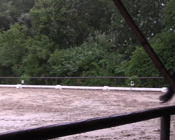 Reitturnier Marienheide-Kempershöhe 2023