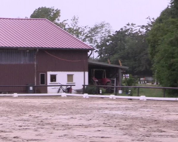 Reitturnier Marienheide-Kempershöhe 2023