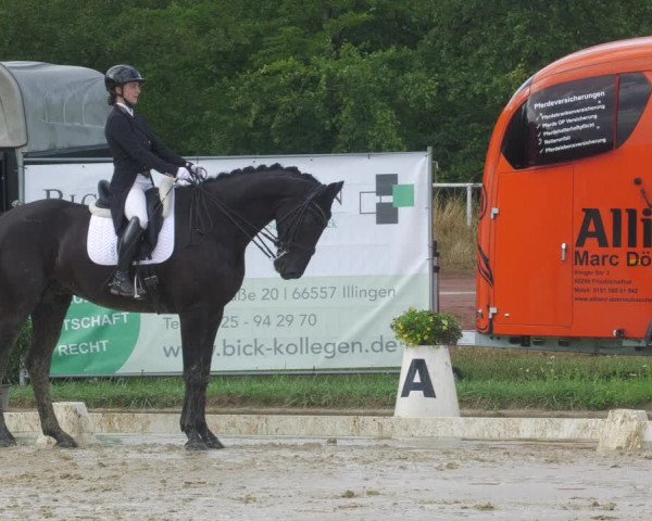 Reitturnier Heiligenwald 2023