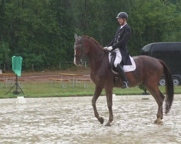 Reitturnier Heiligenwald 2023