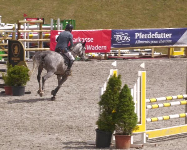 Reitturnier Margarethenhof /Beckingen 2023