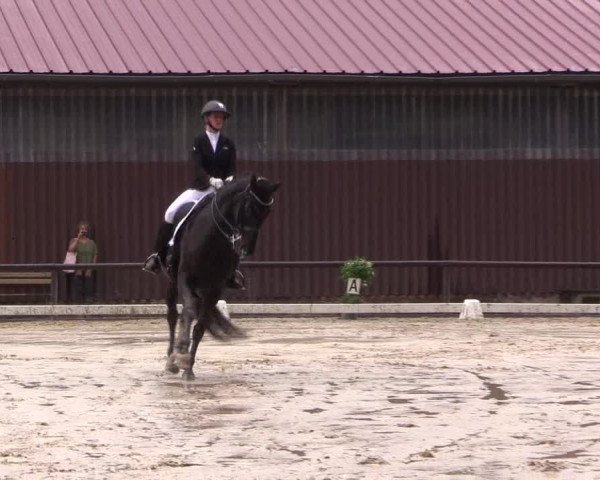 Reitturnier Marienheide-Kempershöhe 2023
