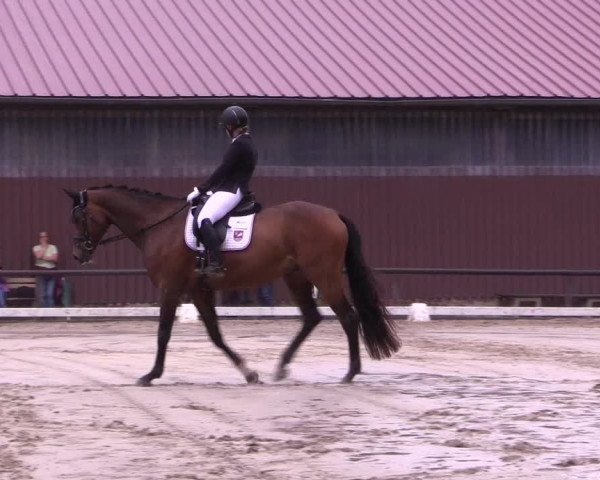 Reitturnier Marienheide-Kempershöhe 2023