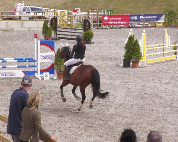 Reitturnier Margarethenhof /Beckingen 2023