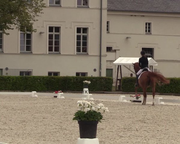 Reitturnier Neustadt/Dosse 2023