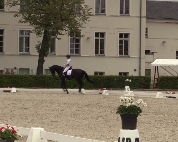 Reitturnier Neustadt/Dosse 2023