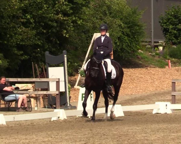Reitturnier Kleinsolt 2023