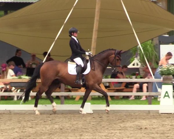 Reitturnier Kleinsolt 2023