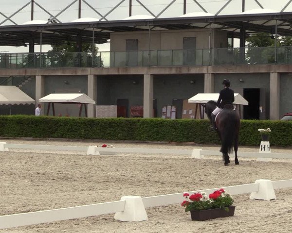Reitturnier Neustadt/Dosse 2023