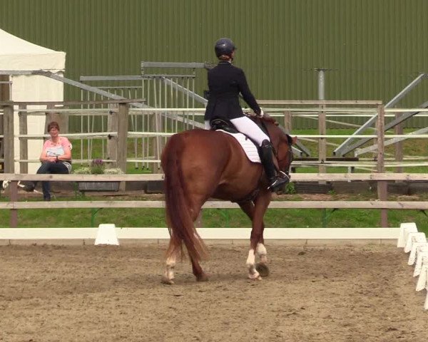Reitturnier Kleinsolt 2023