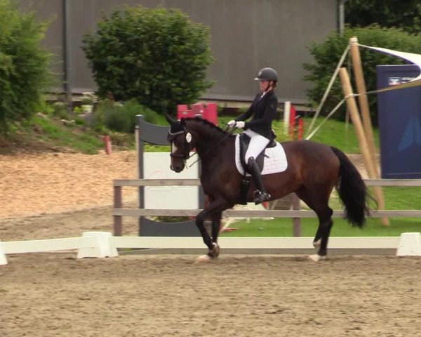 Reitturnier Kleinsolt 2023