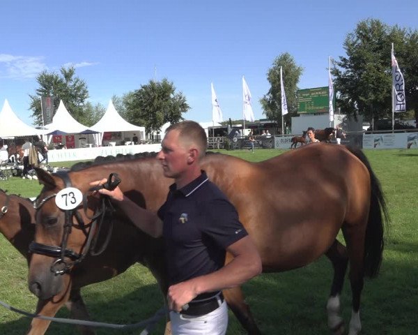 Horse24 Deutsches Fohlenchampionat 2023