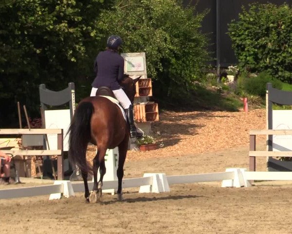 Reitturnier Kleinsolt 2023