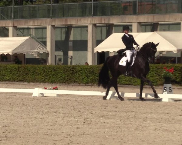 Reitturnier Neustadt/Dosse 2023
