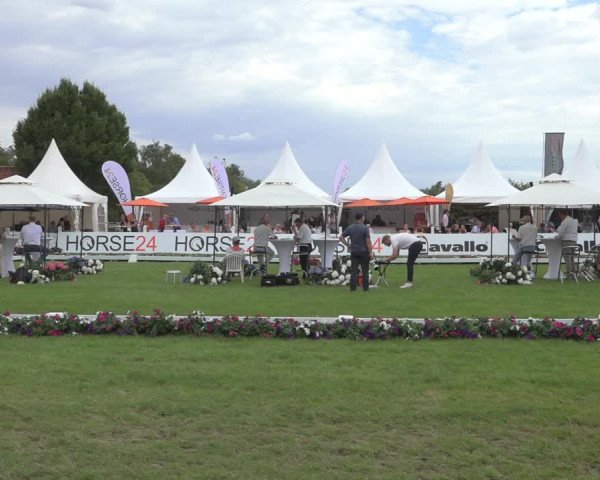 Horse24 Deutsches Fohlenchampionat 2023