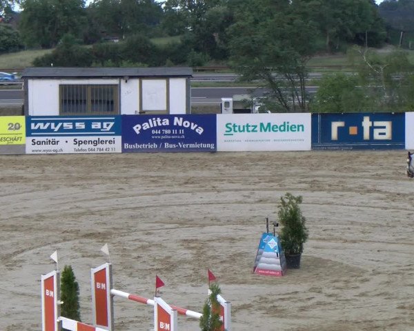 Reitturnier Wädenswil 2023