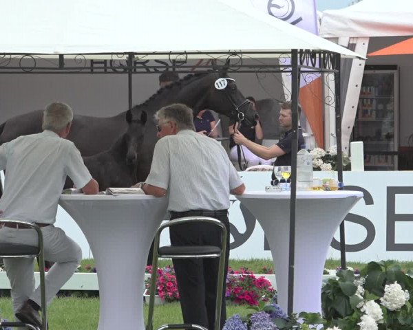 Horse24 Deutsches Fohlenchampionat 2023