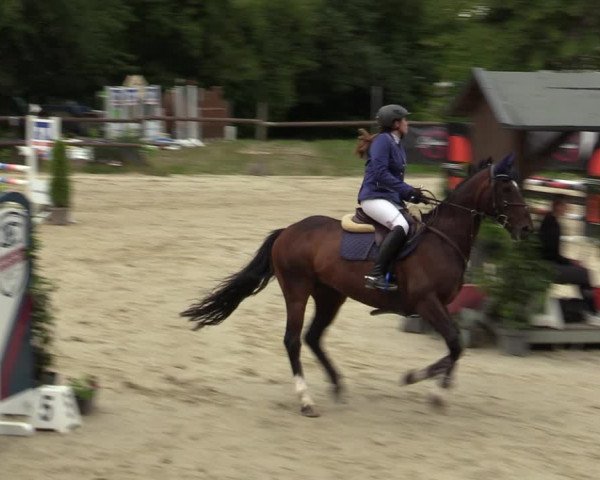 Reitturnier Marienheide-Kempershöhe 2023