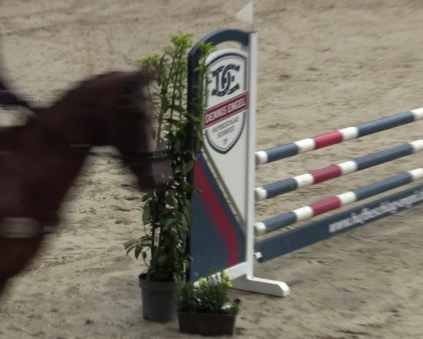 Reitturnier Marienheide-Kempershöhe 2023