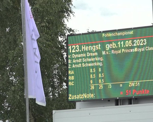 Horse24 Deutsches Fohlenchampionat 2023