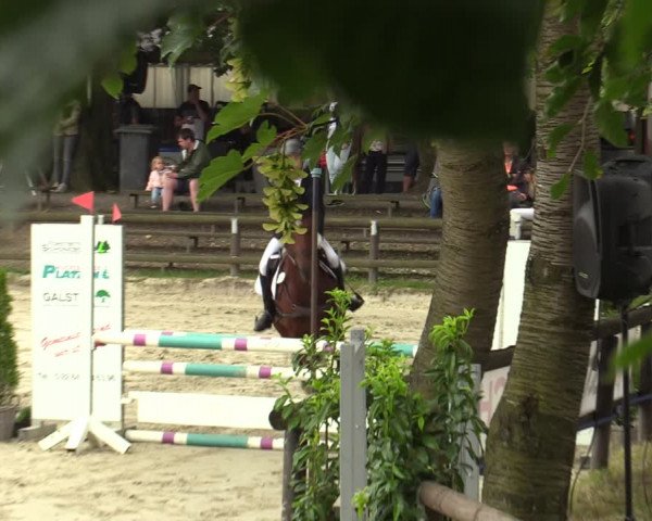 Reitturnier Marienheide-Kempershöhe 2023