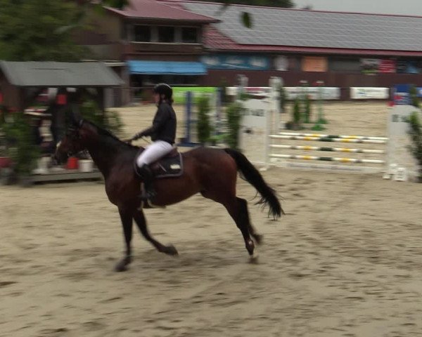 Reitturnier Marienheide-Kempershöhe 2023