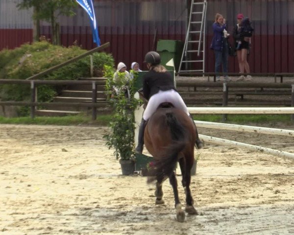 Reitturnier Marienheide-Kempershöhe 2023