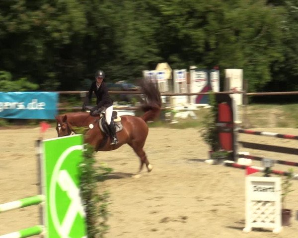 Reitturnier Marienheide-Kempershöhe 2023