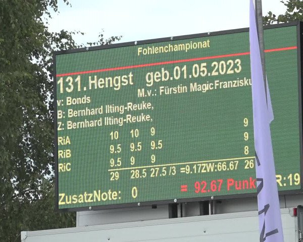 Horse24 Deutsches Fohlenchampionat 2023