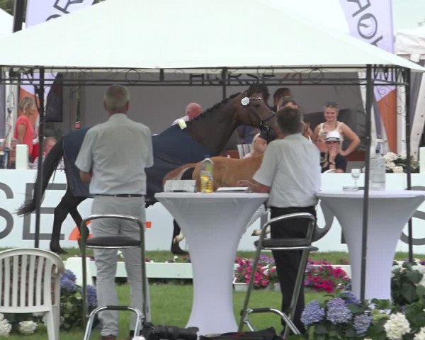 Horse24 Deutsches Fohlenchampionat 2023