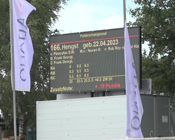 Horse24 Deutsches Fohlenchampionat 2023