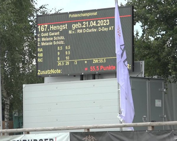 Horse24 Deutsches Fohlenchampionat 2023