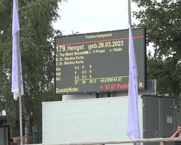 Horse24 Deutsches Fohlenchampionat 2023