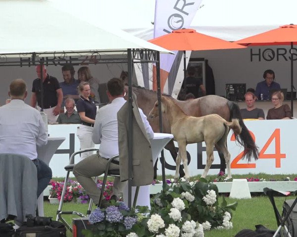 Horse24 Deutsches Fohlenchampionat 2023