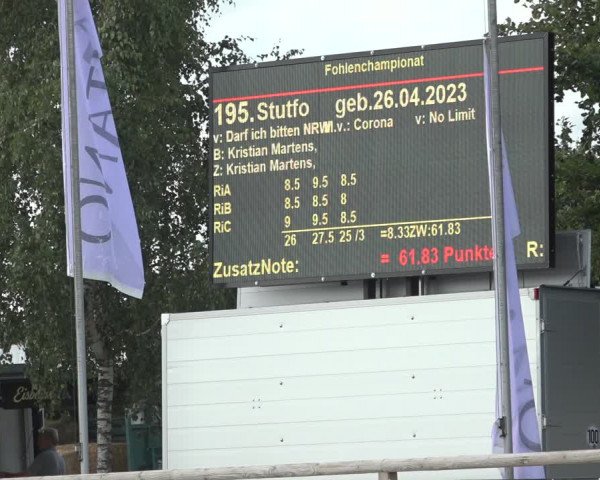 Horse24 Deutsches Fohlenchampionat 2023