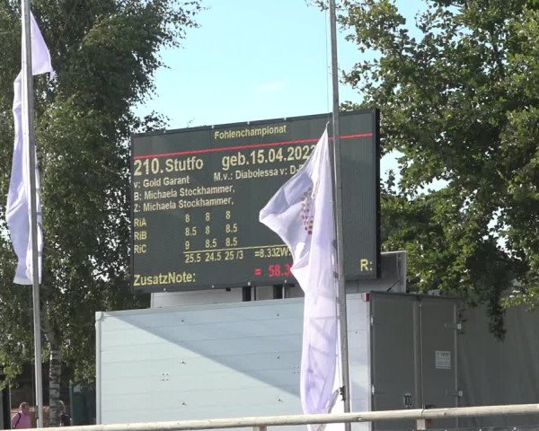 Horse24 Deutsches Fohlenchampionat 2023