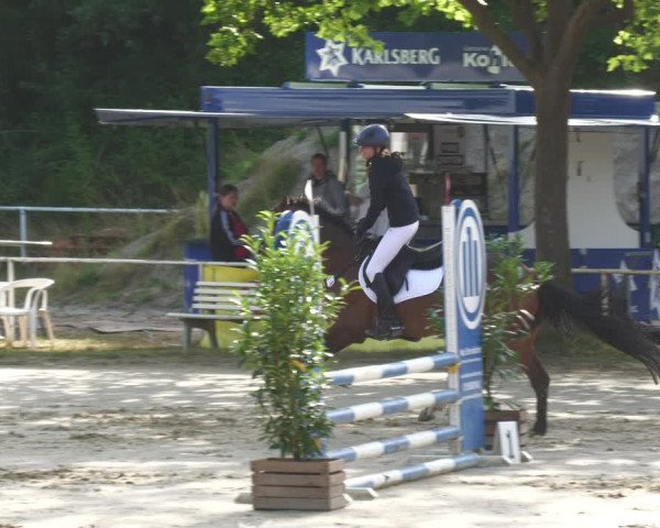 Reitturnier Heiligenwald 2023